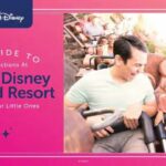 A New planDisney Guide Gives Tips for Those Traveling to the Walt Disney World Resort With Little Ones