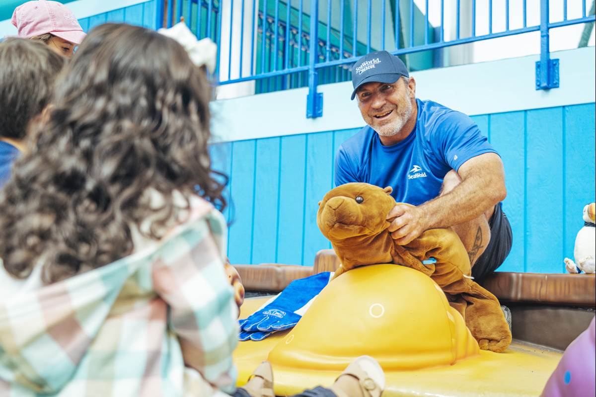SeaWorld San Diego Announces Rescue Jr. Kid's Area Dedicated to Marine