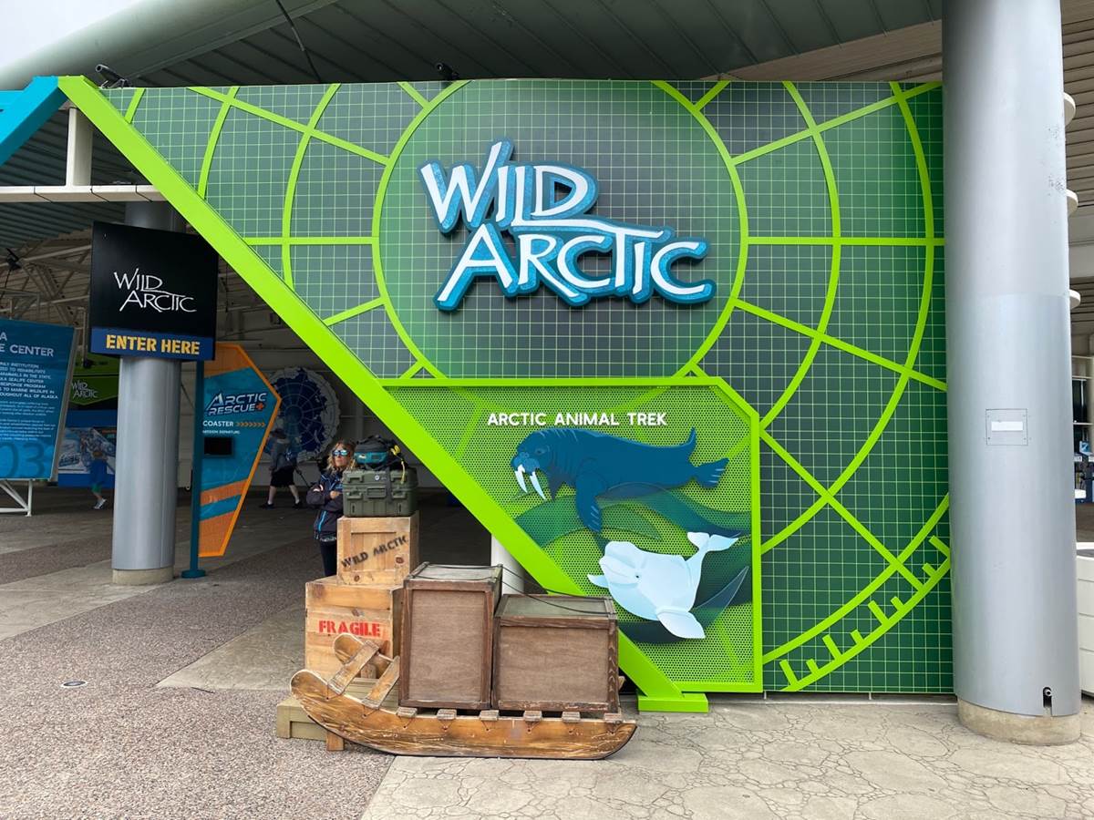 Photos / Videos Blast Off on SeaWorld San Diego's New Arctic Rescue