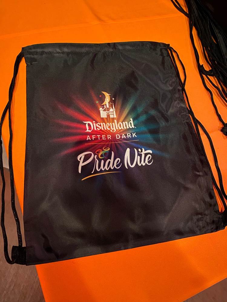 A Colorful Guide to Disneyland After Dark Pride Nite