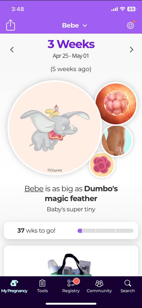 What to Expect App Introduces Disney Baby-Inspired Fetal Size Comparisons