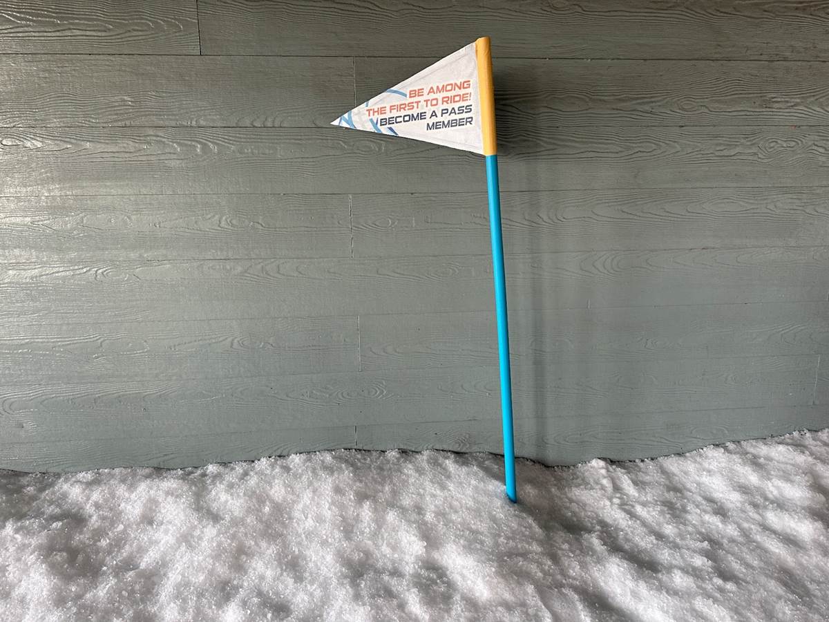 Photos / Video: Learn More About Penguin Trek, SeaWorld Orlando’s 2024