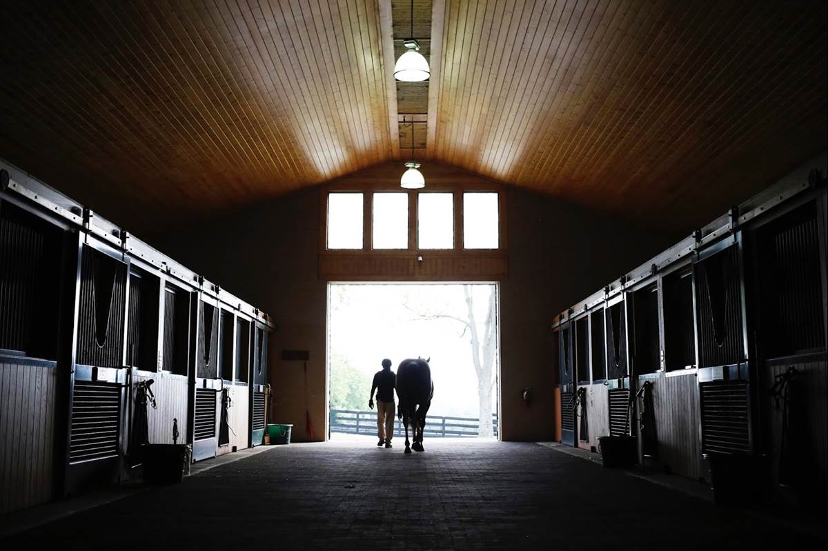 “The New York Times Presents Broken Horses” Debuts on FX in 2024