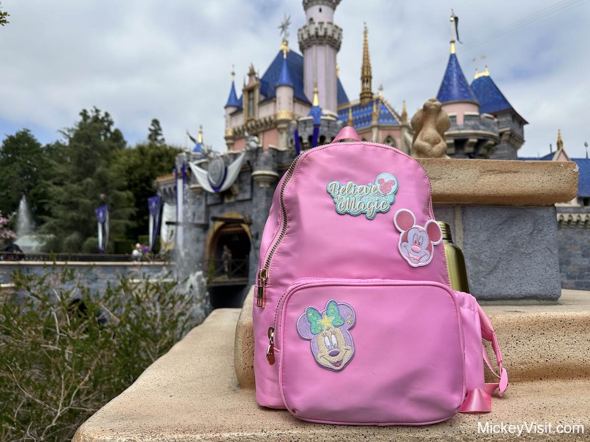 What to Bring to Disney World ~ Park Bag Essentials 