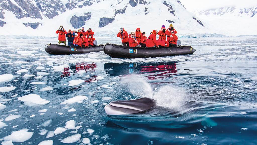 Fly Above or Sail Through Drake's Passage With New Itineraries From National Geographic Expeditions - Vimarsana News