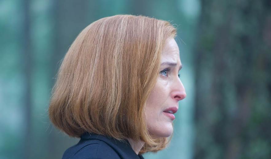 "The X-Files" Star Gillian Anderson Joins Cast of "TRON: Ares" - Vimarsana News