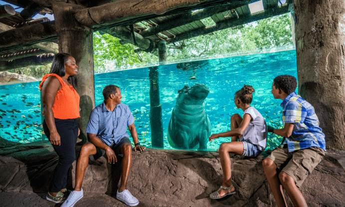 Busch Gardens Tampa Bay Launches Limited-Time BOGO Fun Card Offer - - Vimarsana News