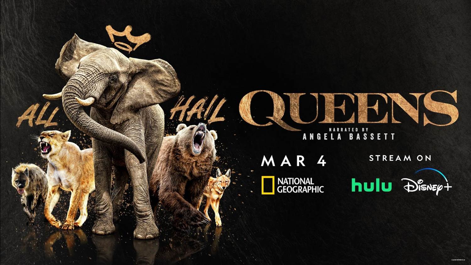 TV Review: National Geographic's "Queens" - Vimarsana News