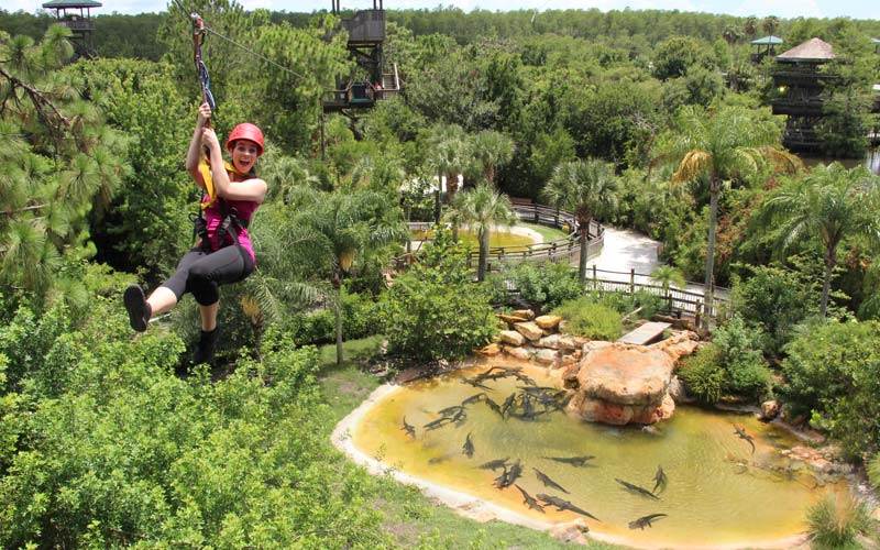 Gatorland Offers Spring Savings On Award-Winning Zip-Line Attraction - - Vimarsana News
