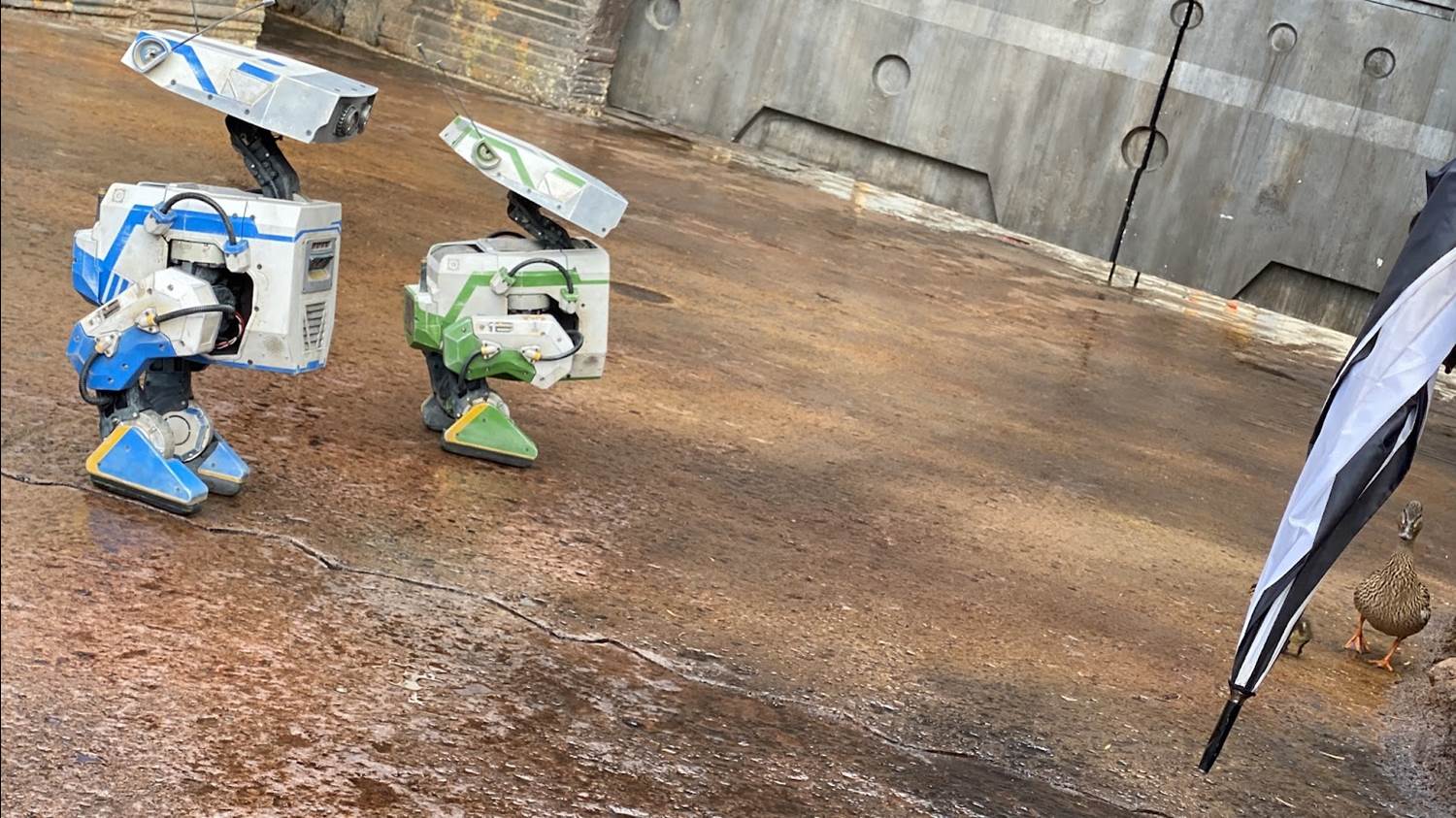 Photos / Video: BDX Droids Appear for First Time During Disneyland's ...