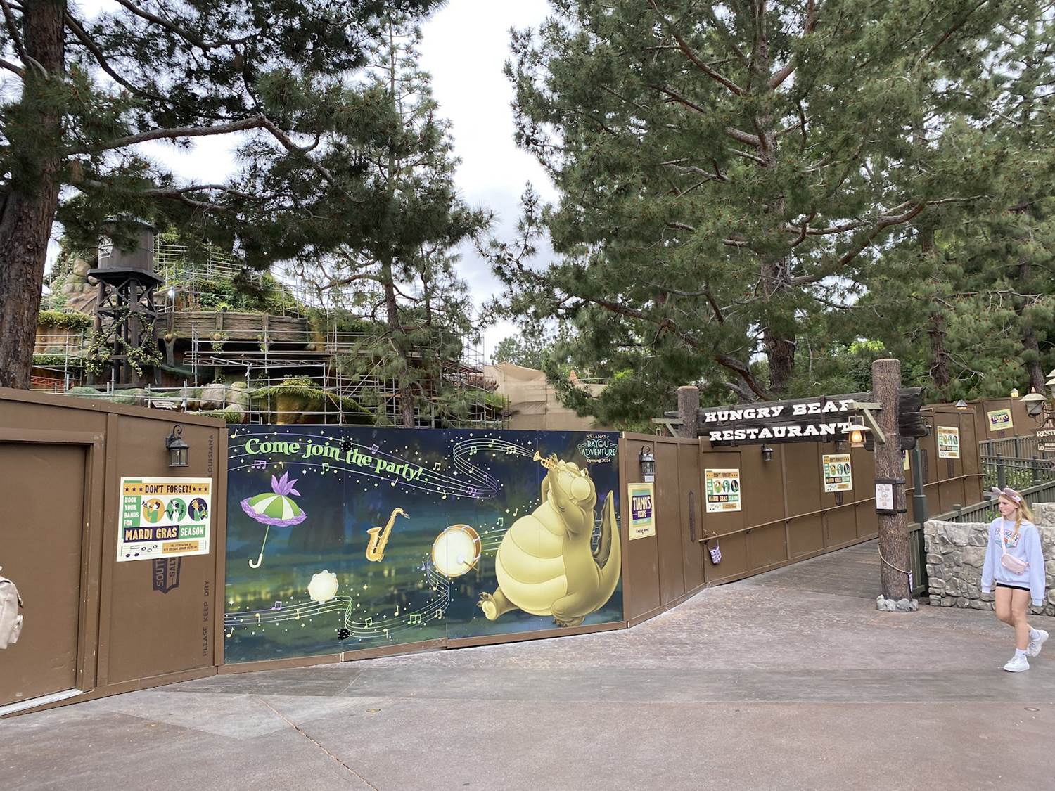 Photos: Critter Country Closes at Disneyland as Work Continues on Tiana's Bayou Adventure - Vimarsana News