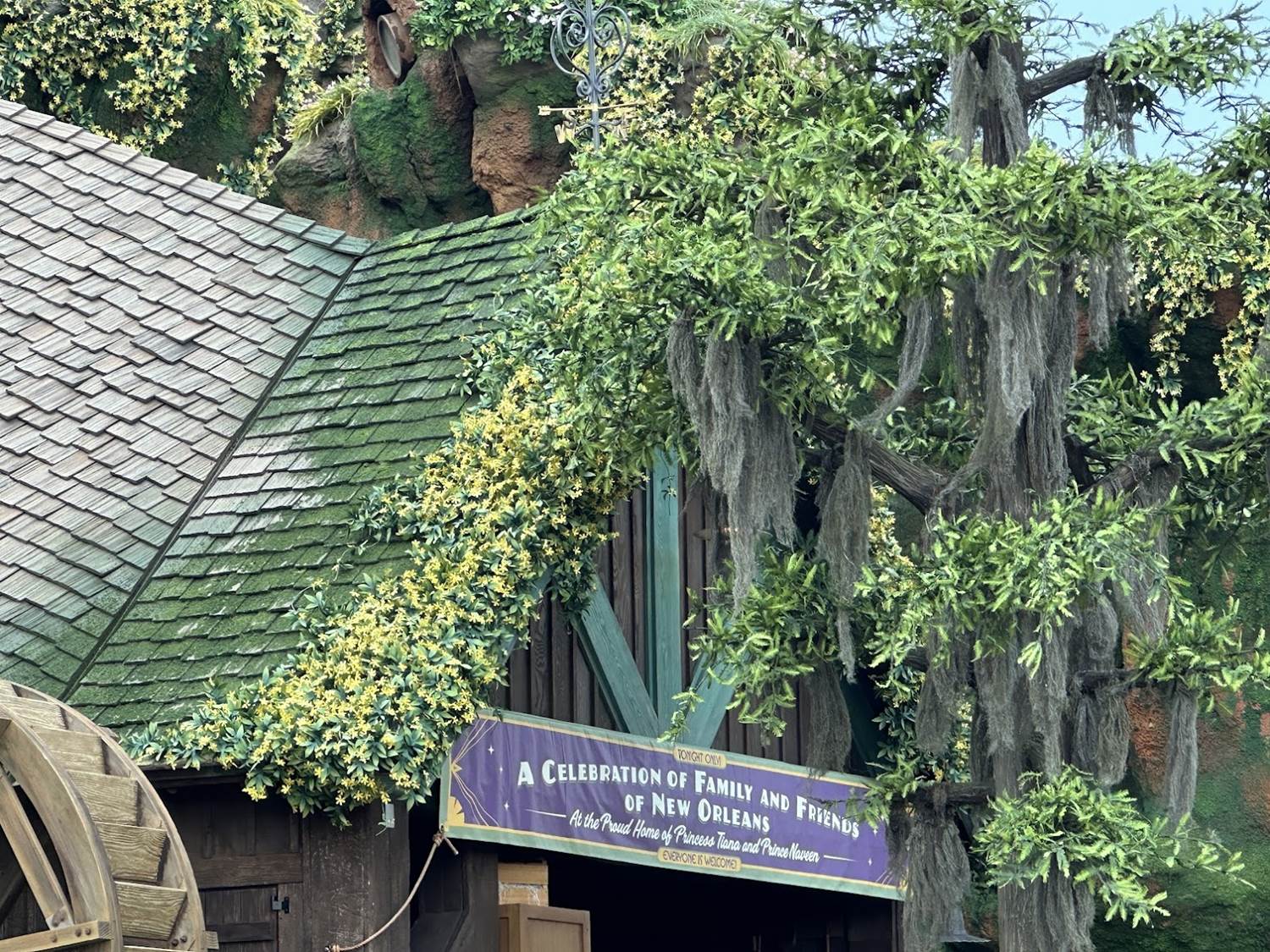 Photos: Tiana's Bayou Adventure Construction Update - 5/2 - Vimarsana News