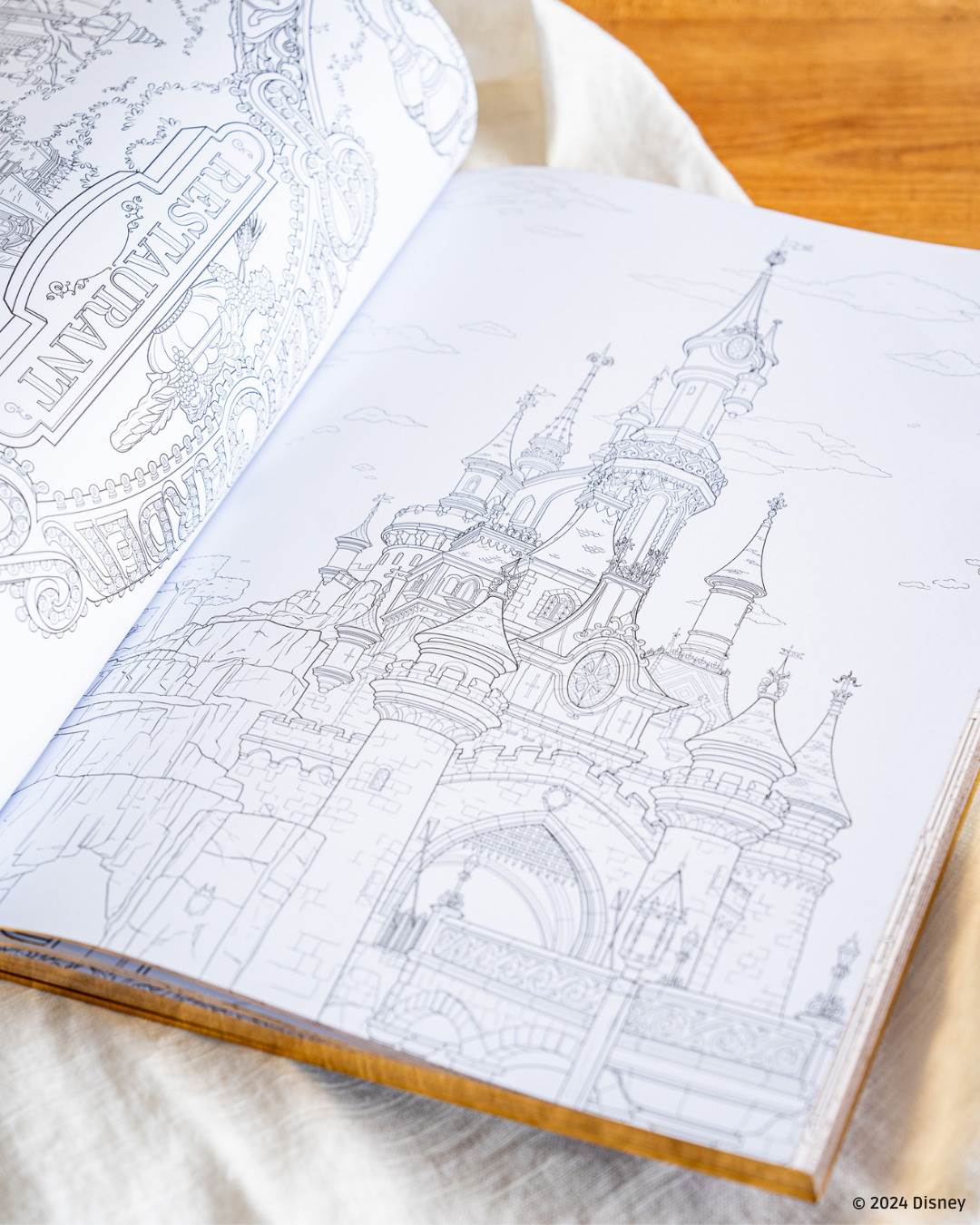 Disneyland Paris Releases Hachette Art Thérapie Coloring Book ...