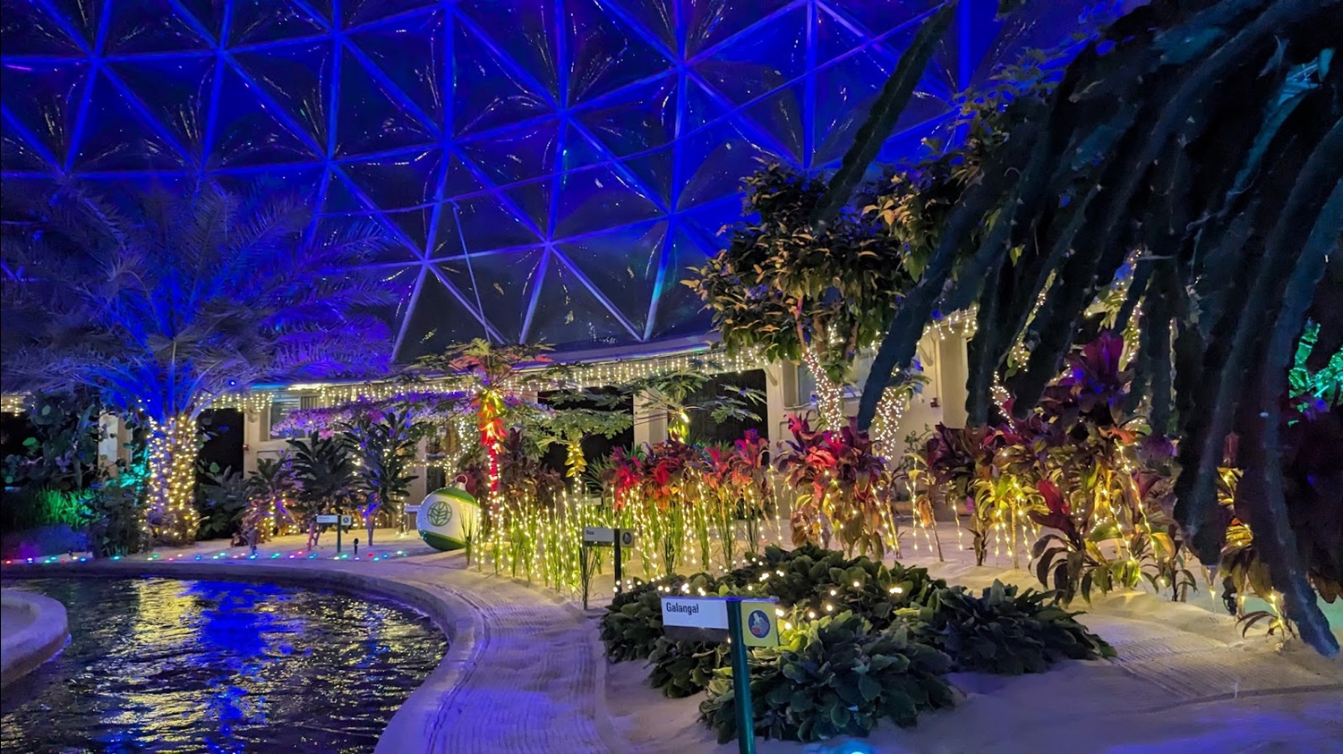 Photos Video Living With The Land Glimmering Greenhouses Returns Photos video living with the land glimmering greenhouses returns