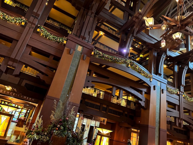 2 Plants Randomly Mated Up To 1 Million Years Ago To Give Rise To One Of The World S Most Popular Drinks